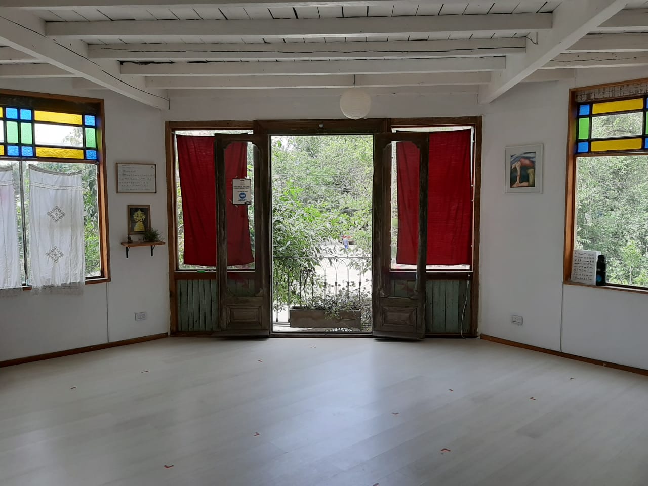 Imagen 5