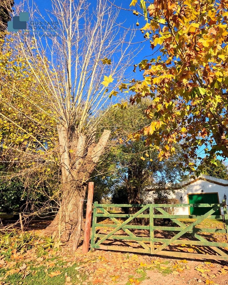 Lote EN VENTA