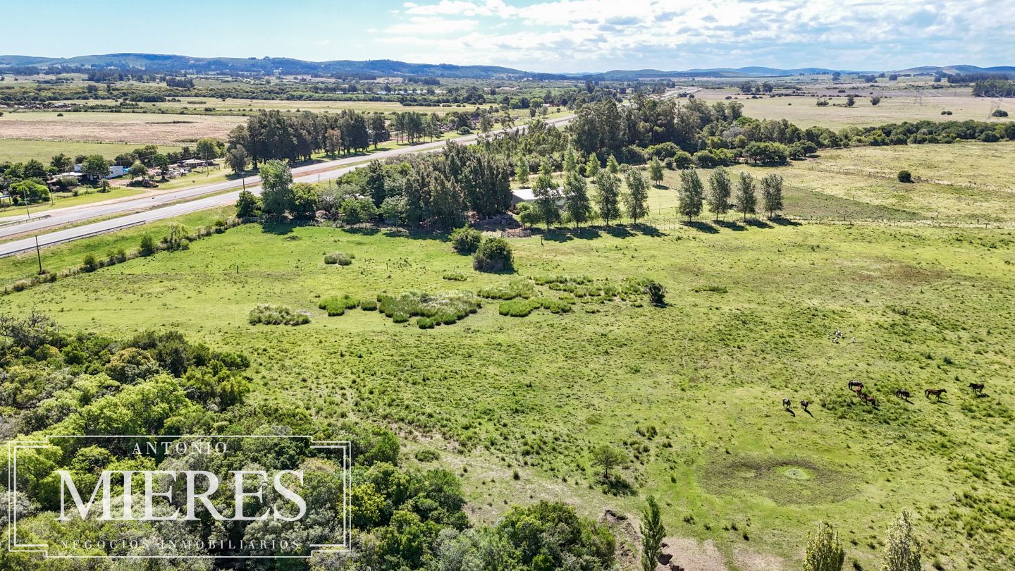 Quinta EN VENTA