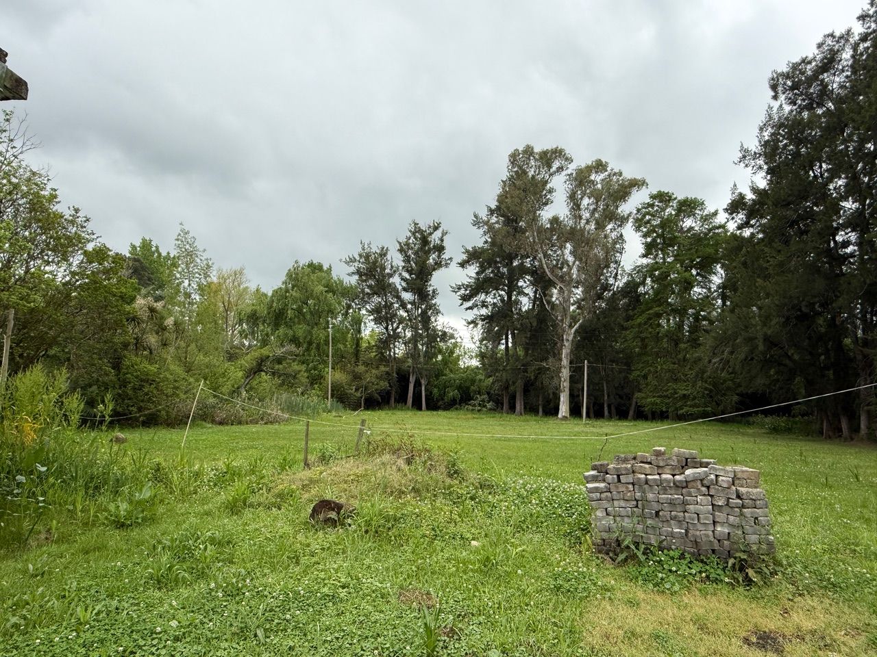 Imagen 8