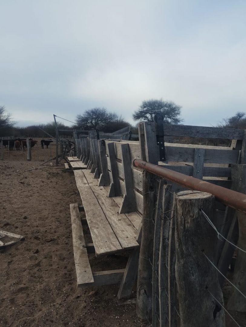 Campo EN VENTA