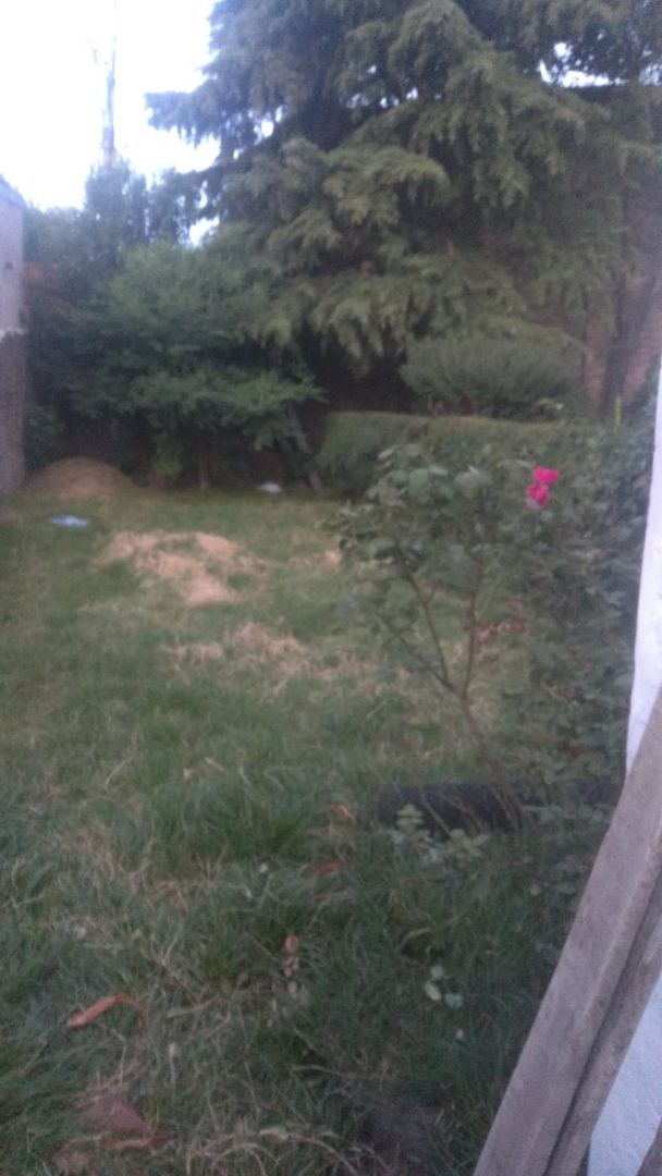 Imagen del interior de la vivienda