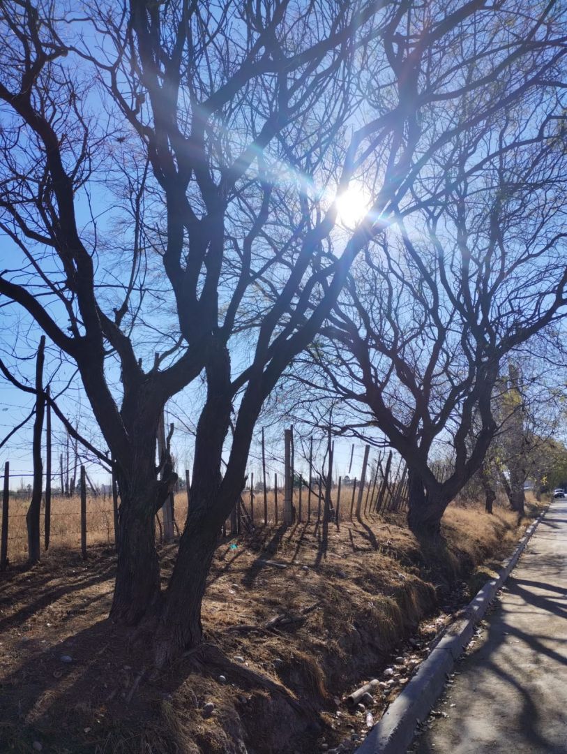 Lote en Venta en San Rafael, Mendoza