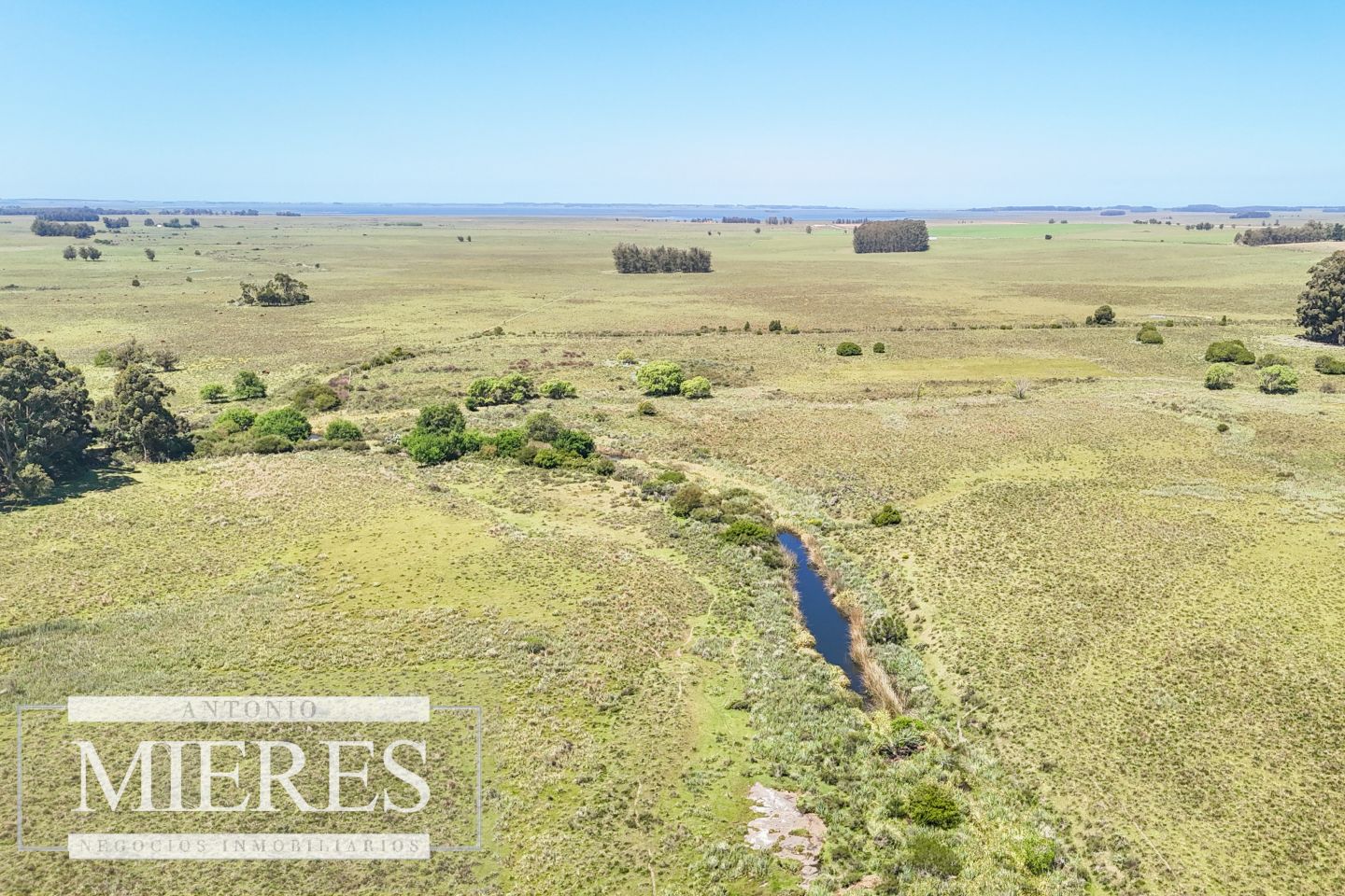 Campo EN VENTA