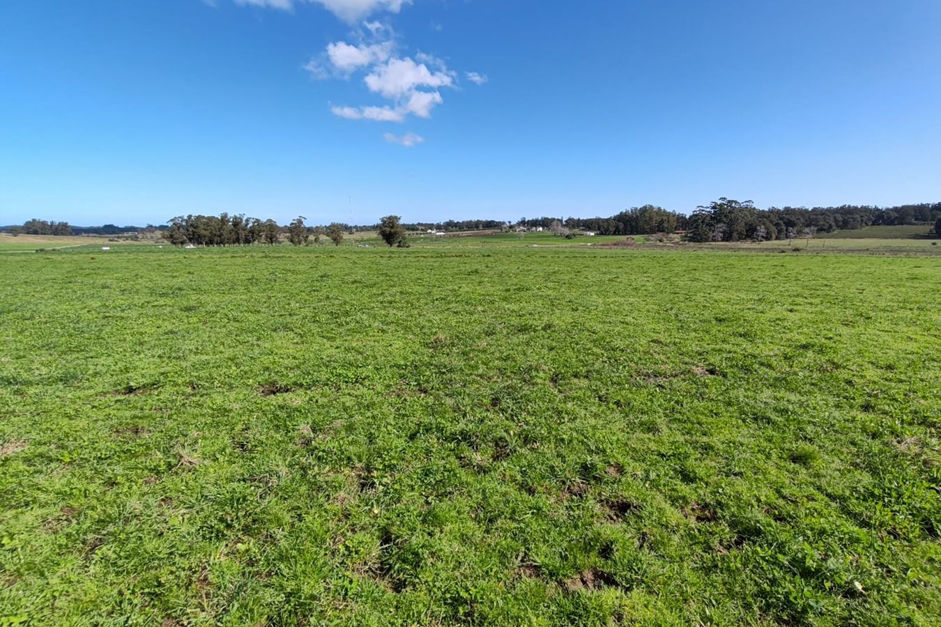 Campo EN VENTA