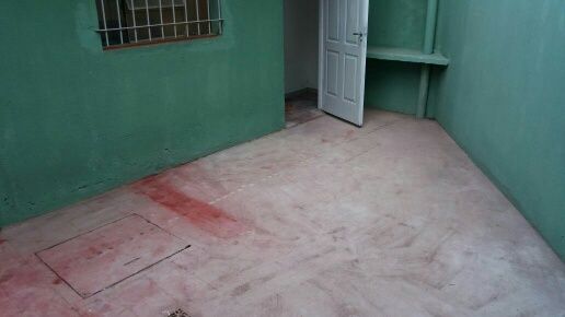 Imagen 10