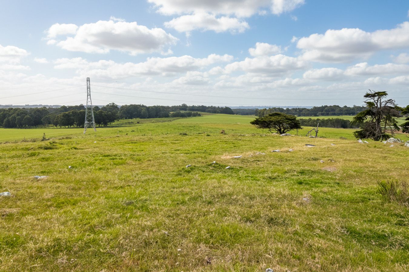 Campo EN VENTA