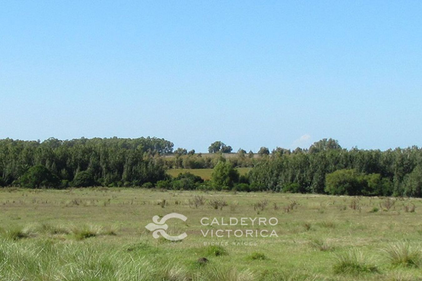 Campo EN VENTA