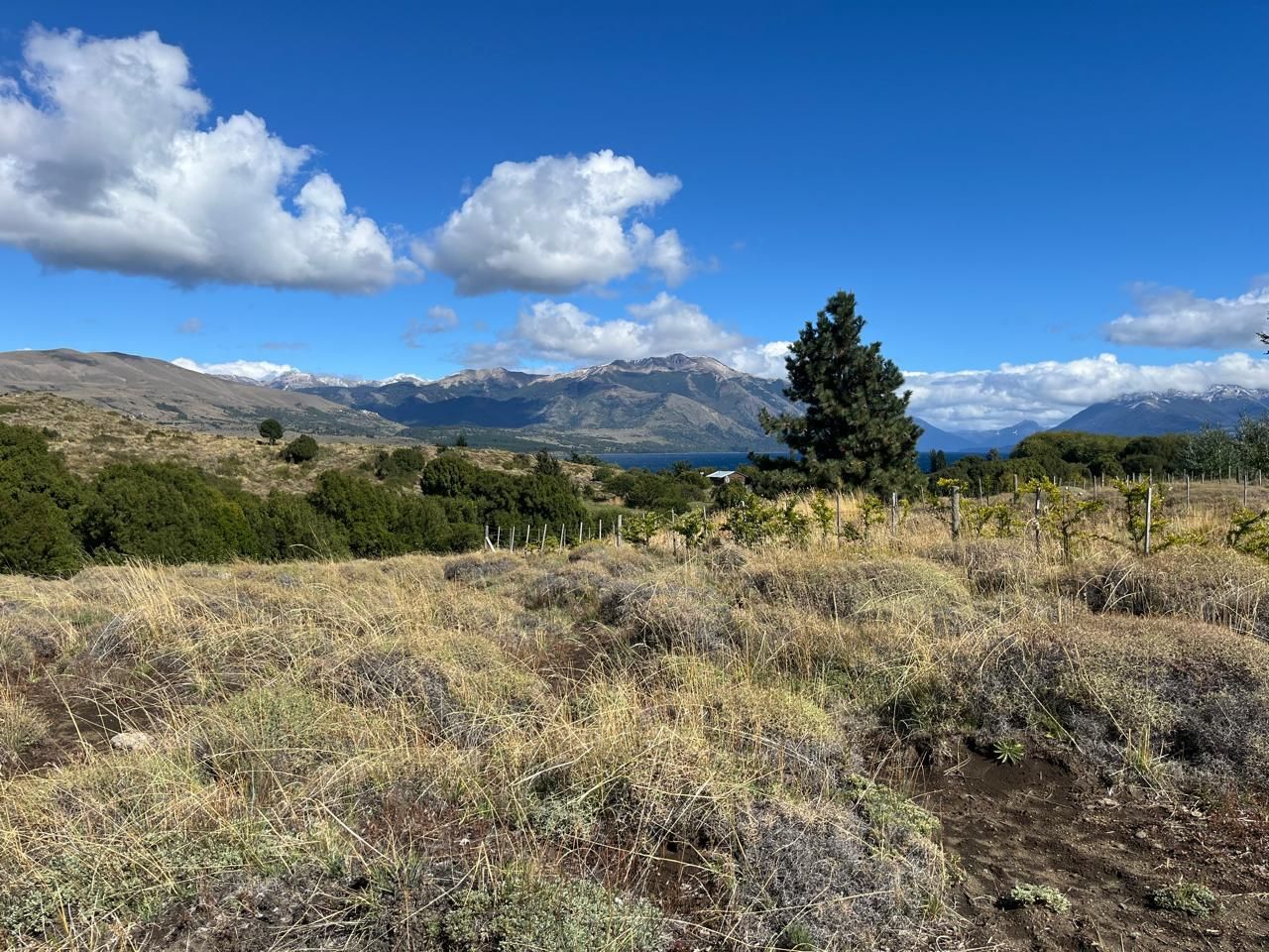 Lote en Venta en Huiliches, Neuquen