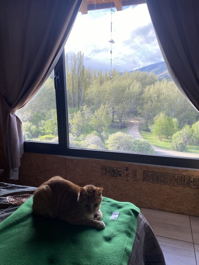 VENTA DE CASA EN San Martín de los Andes - Noregon - 12