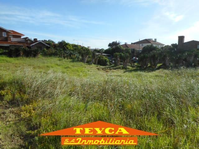 Lote en venta Centro Playa 0 ambientes