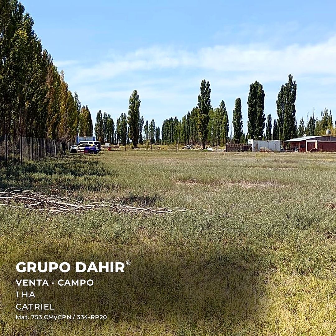 Campo en Catriel — foto 1