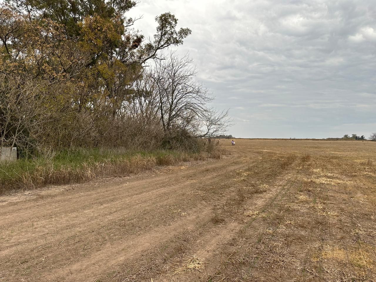 Campo en Venta en Arrecifes, Buenos Aires Interior