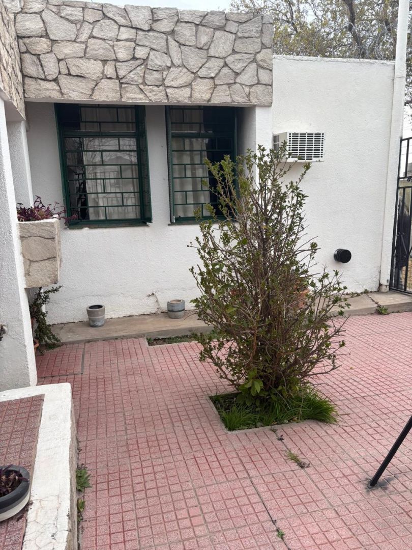 Imagen 6