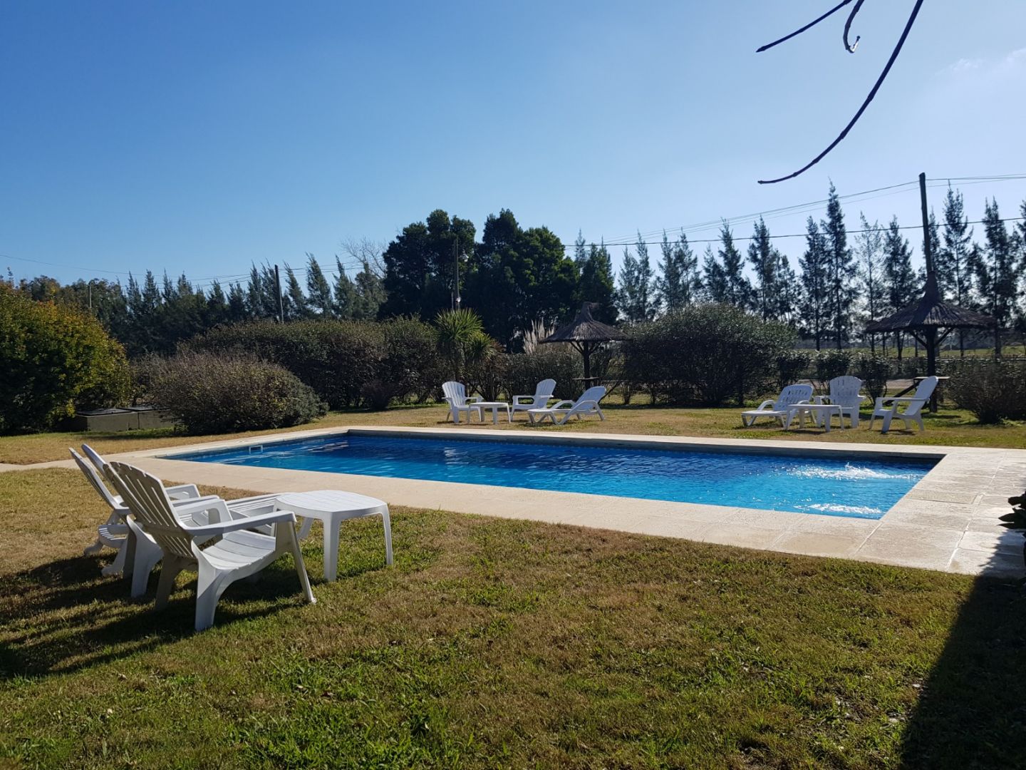Negocio EN VENTA