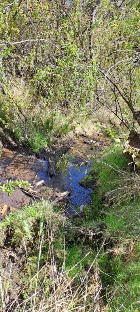 VENTA DE LOTE EN Cholila - 6