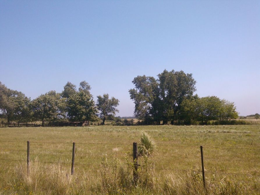 Lote en Venta en Alte. Brown, G.B.A. Zona Sur