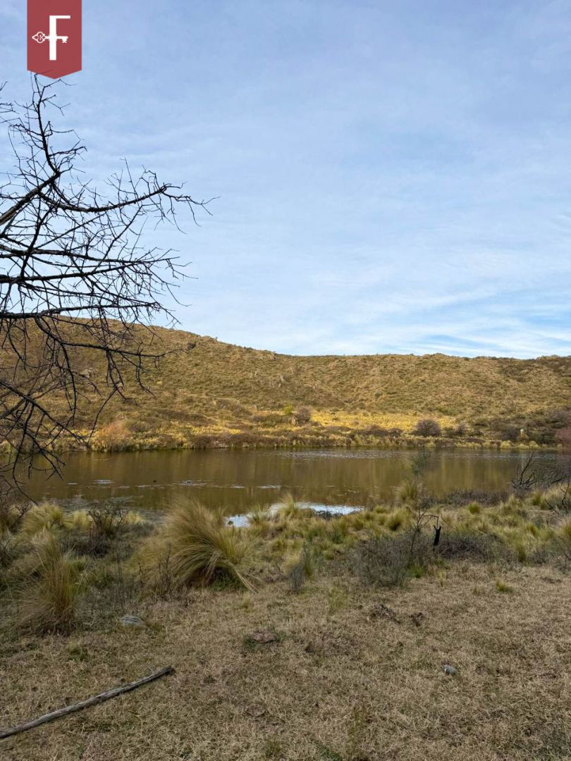 Campo en 