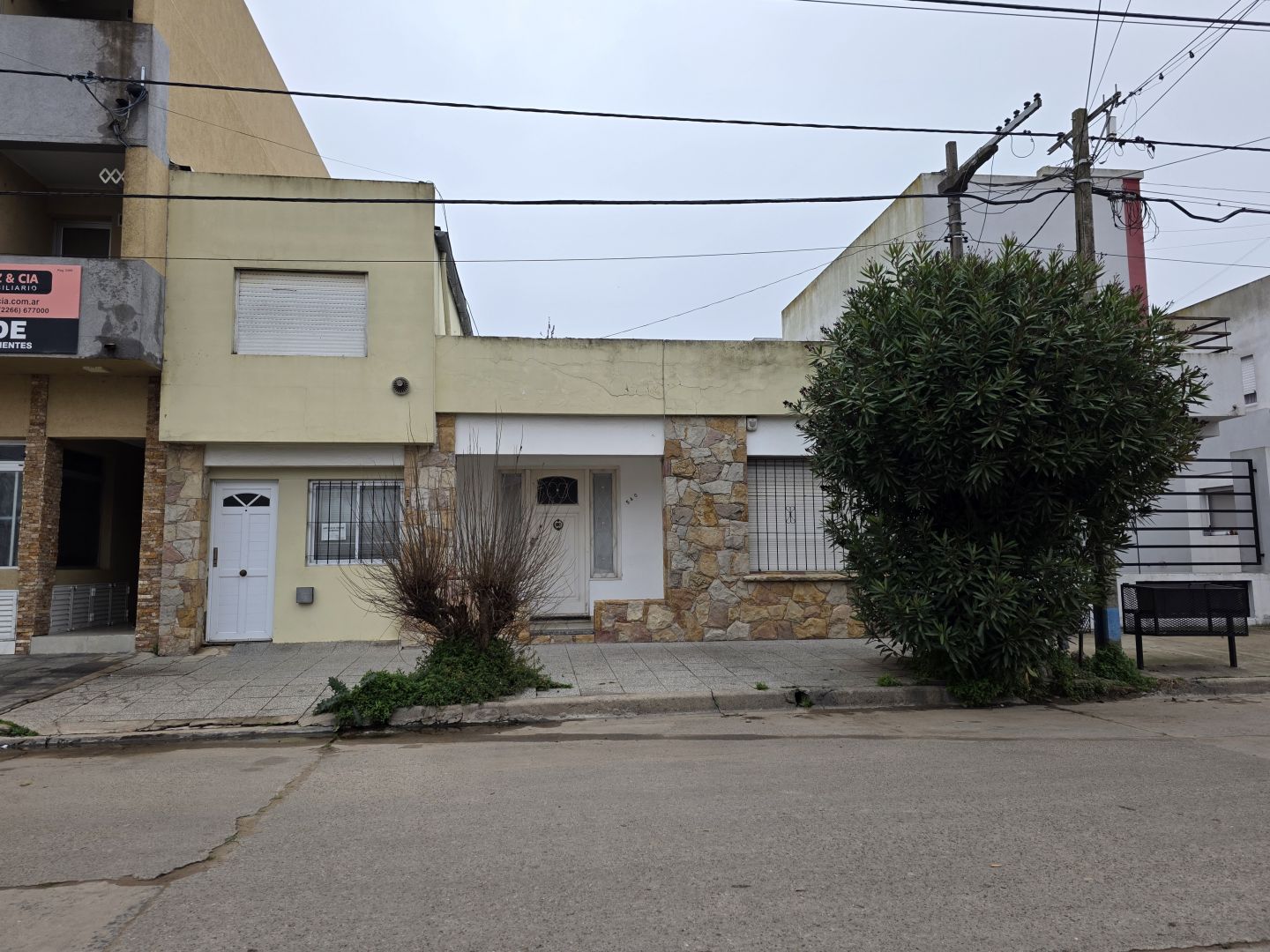 Imagen 2