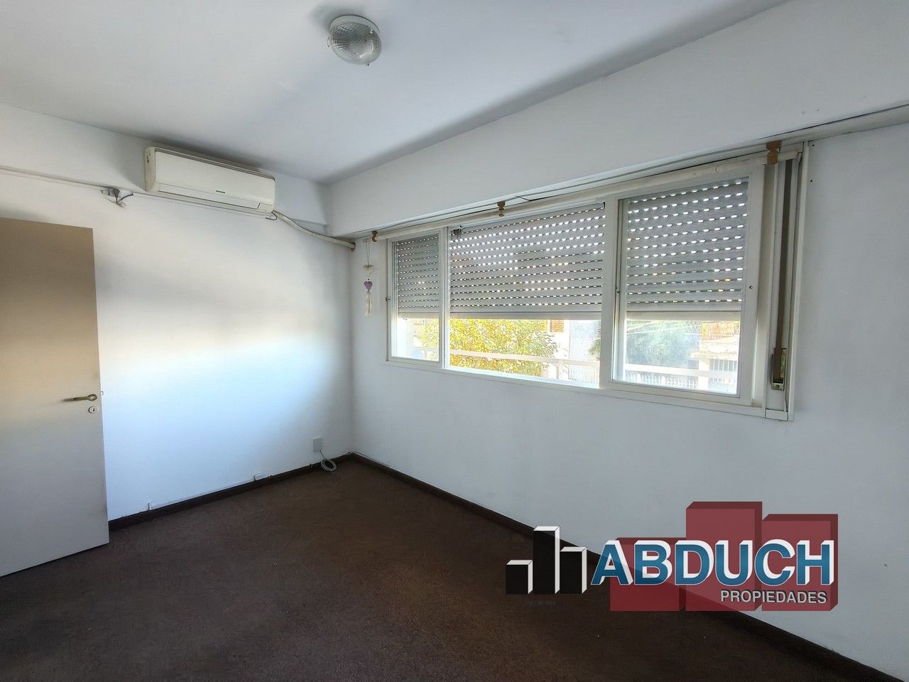 Imagen 6