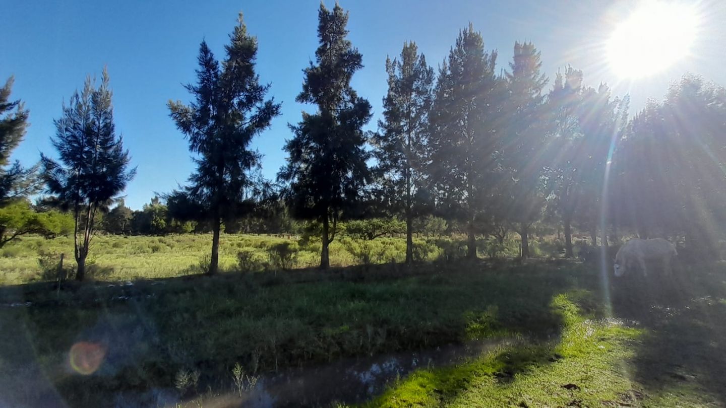 Lote en Venta en Punta Indio, Buenos Aires Interior