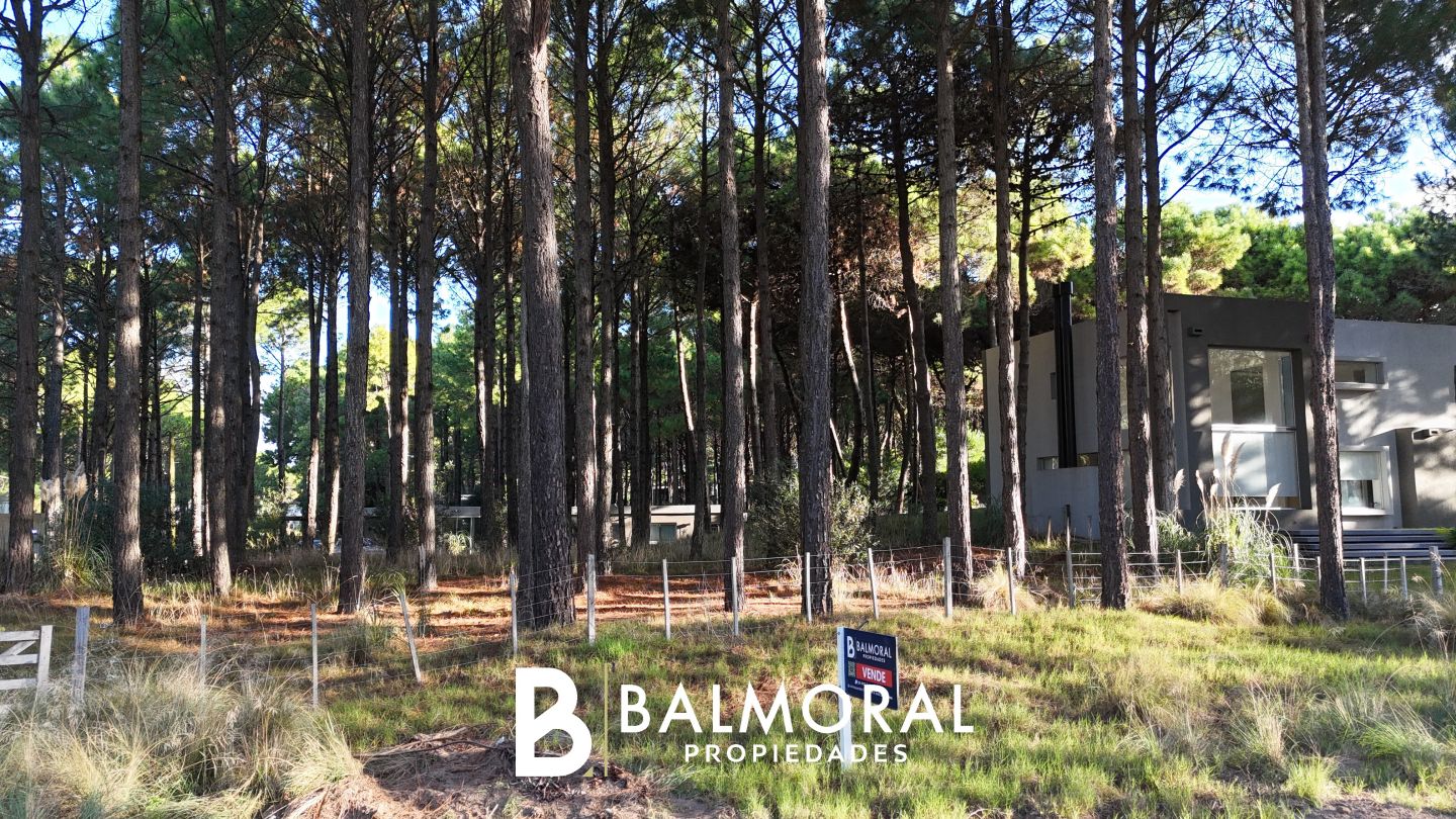 Lote EN VENTA