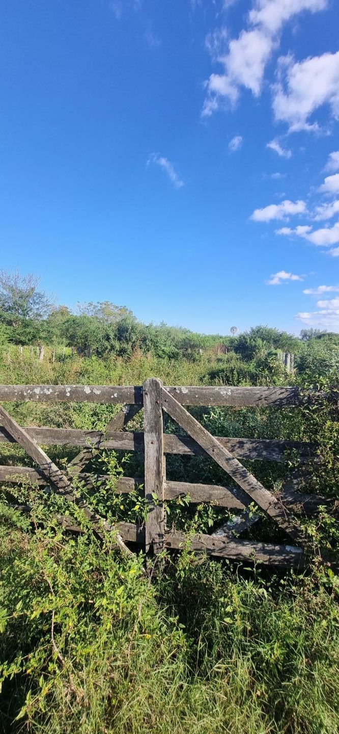 Campo EN VENTA