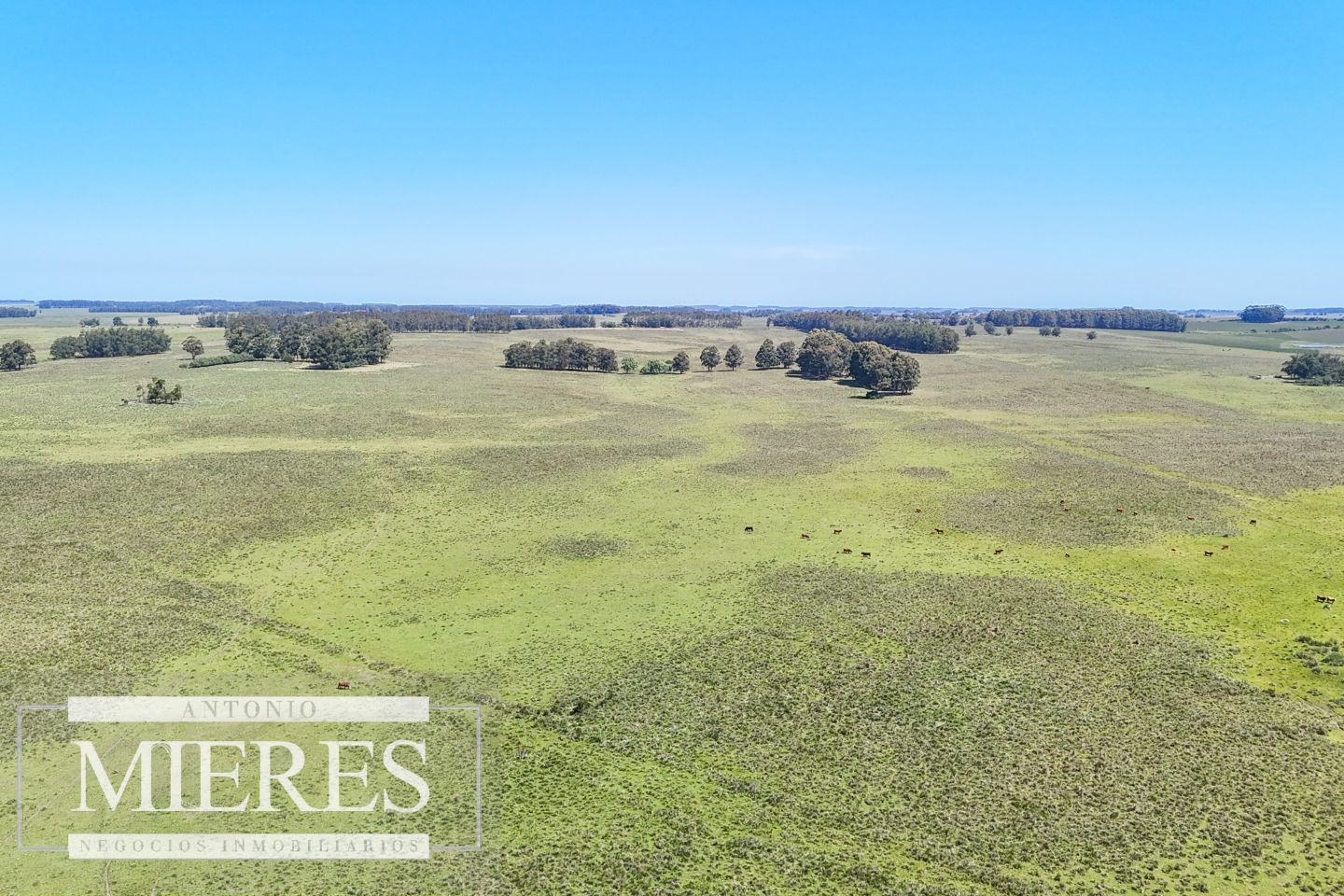 Campo EN VENTA
