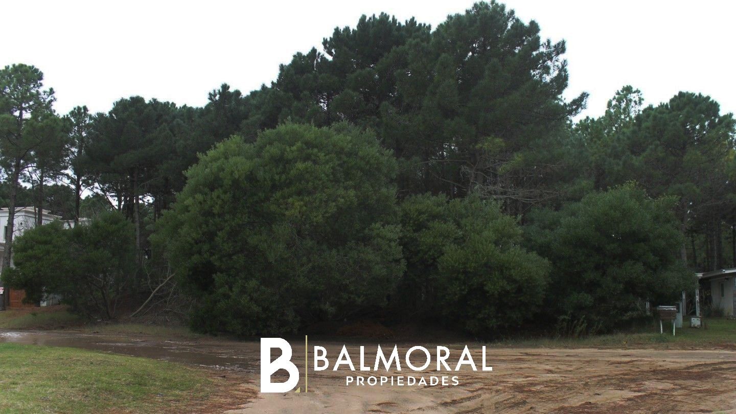 Lote EN VENTA