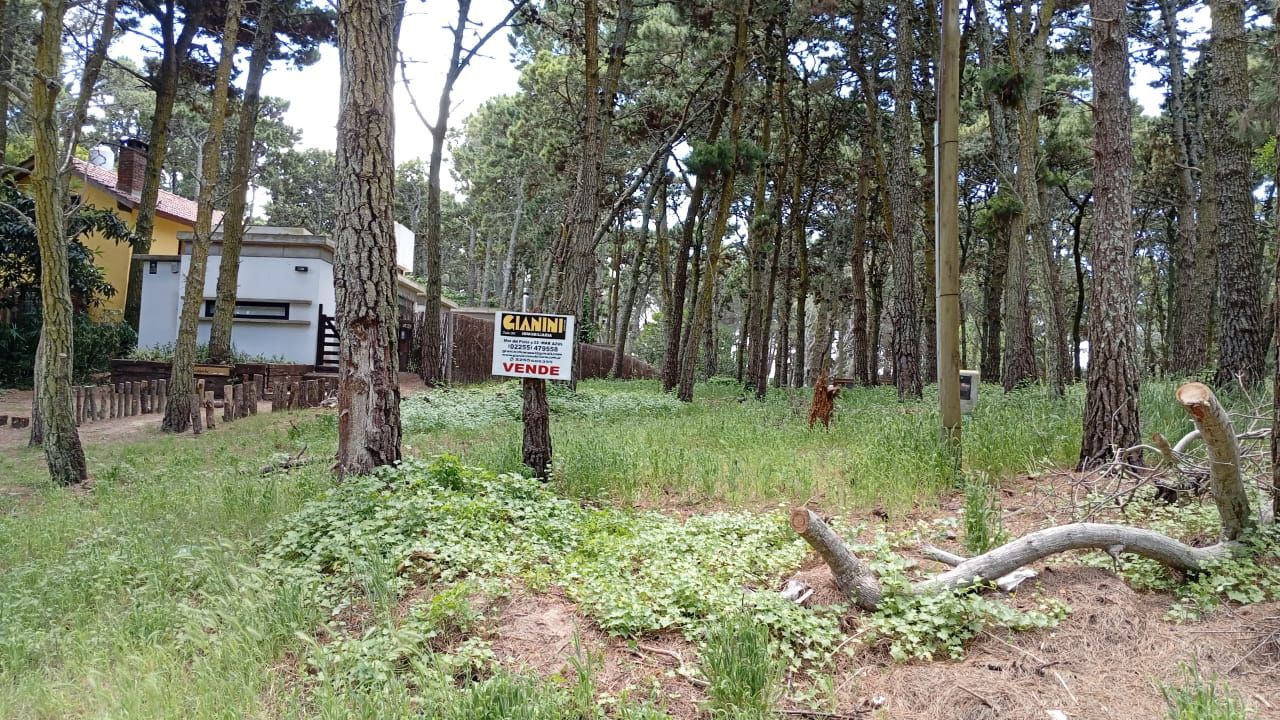 Lote EN VENTA