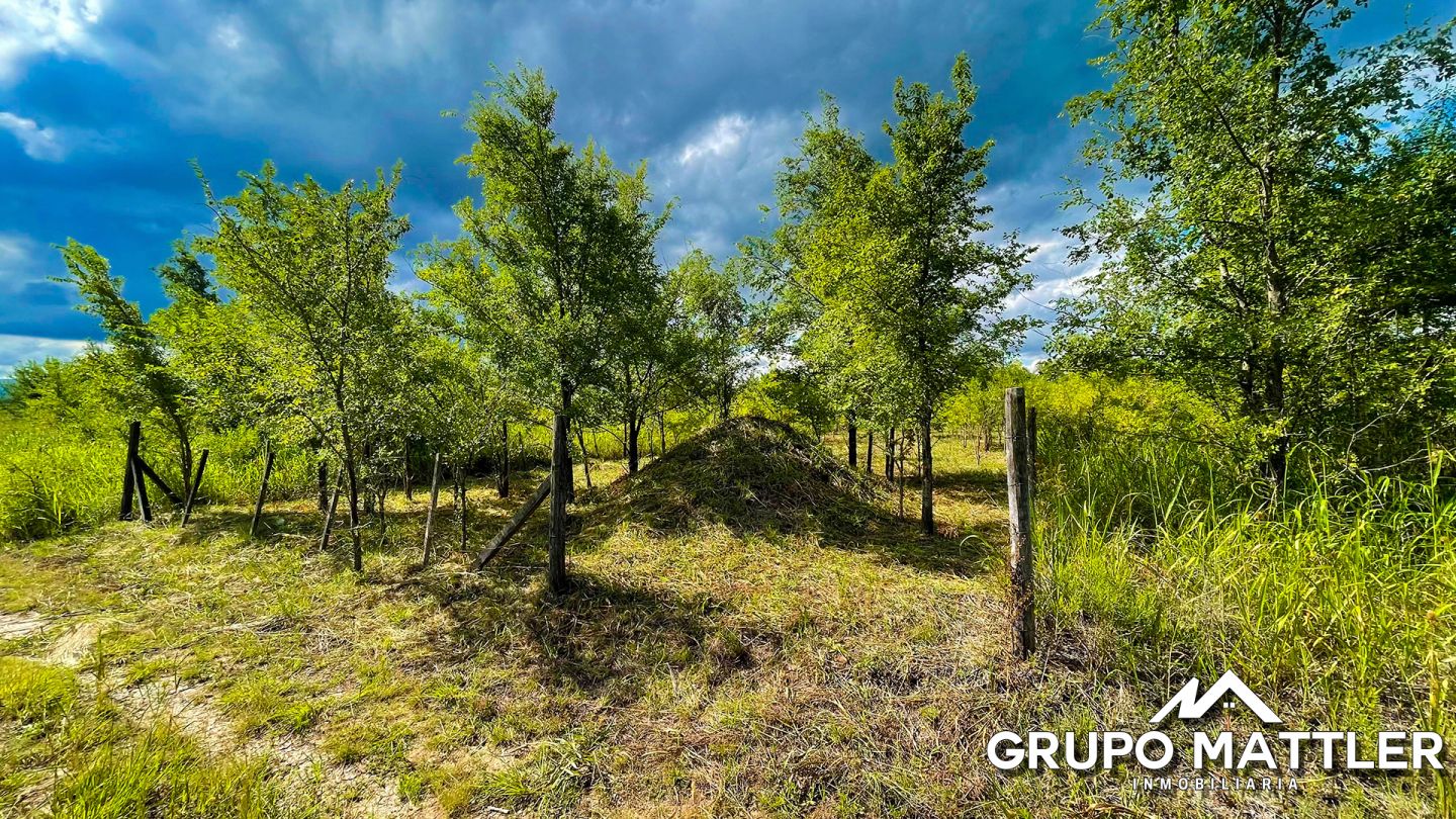 Lote EN VENTA