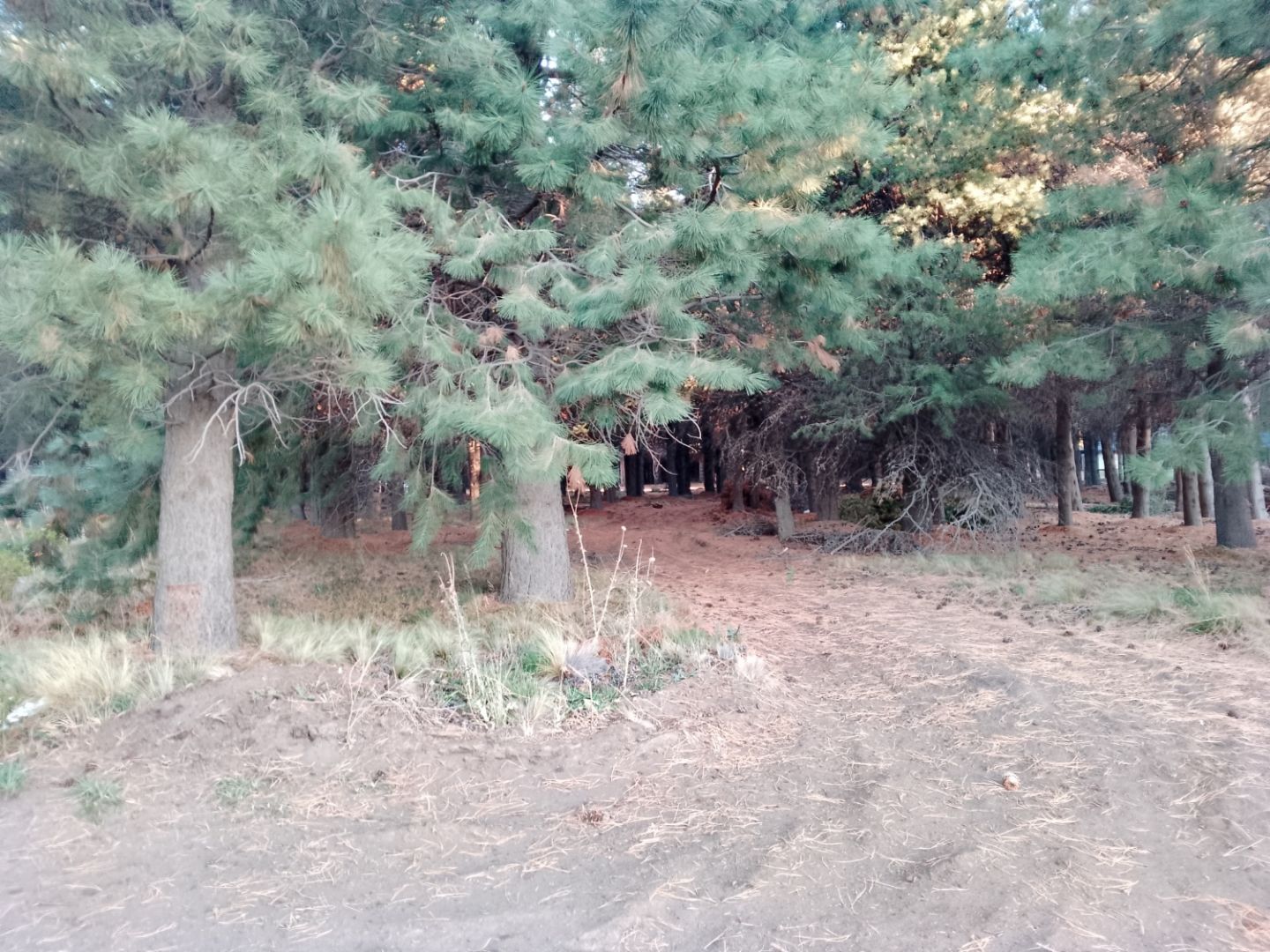 Lote en Venta en Neuquen, Neuquen