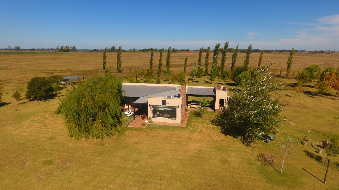 Campo en Ruta 31 - San An