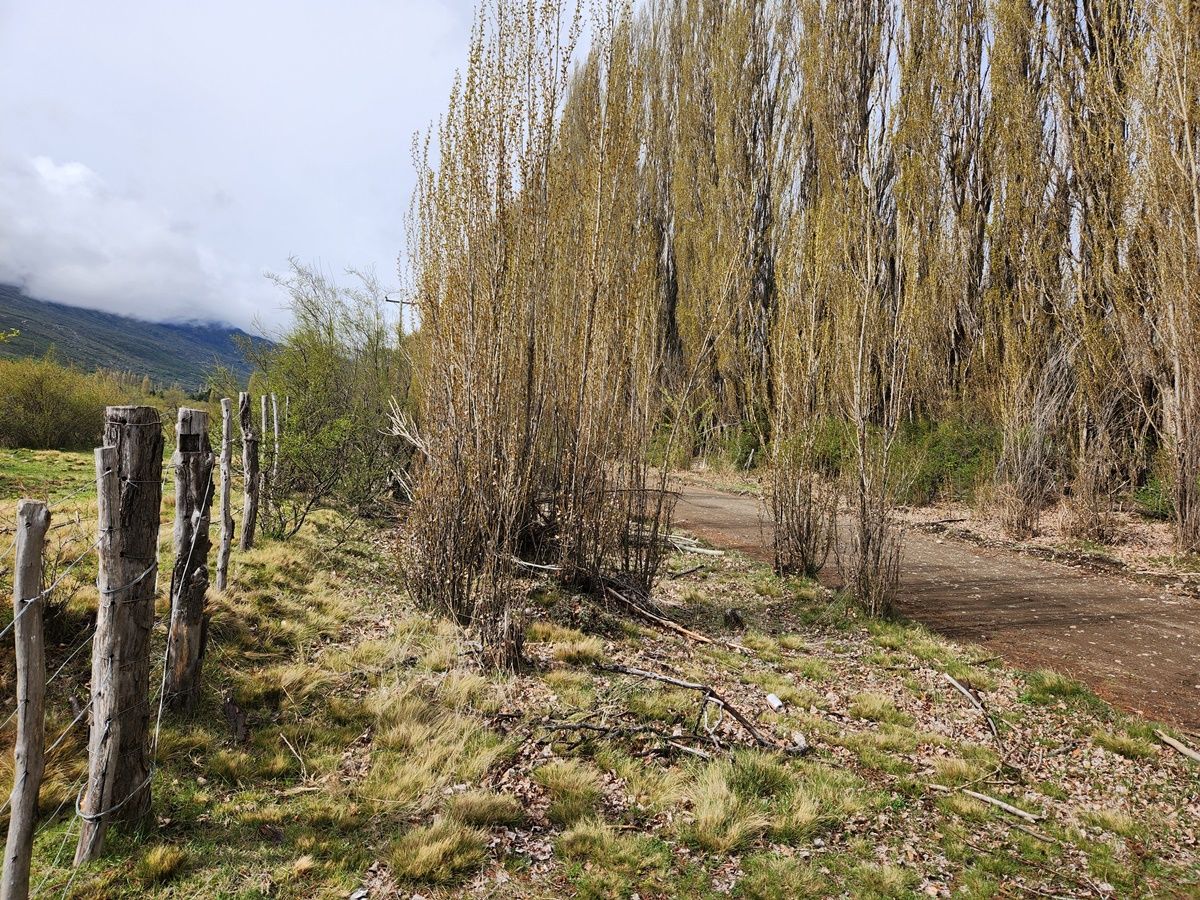 Campo EN VENTA