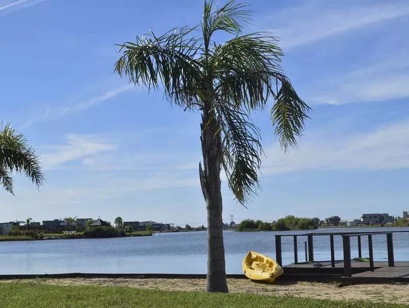 VENTA DE LOTE EN San Vicente - Santa Rita - 5