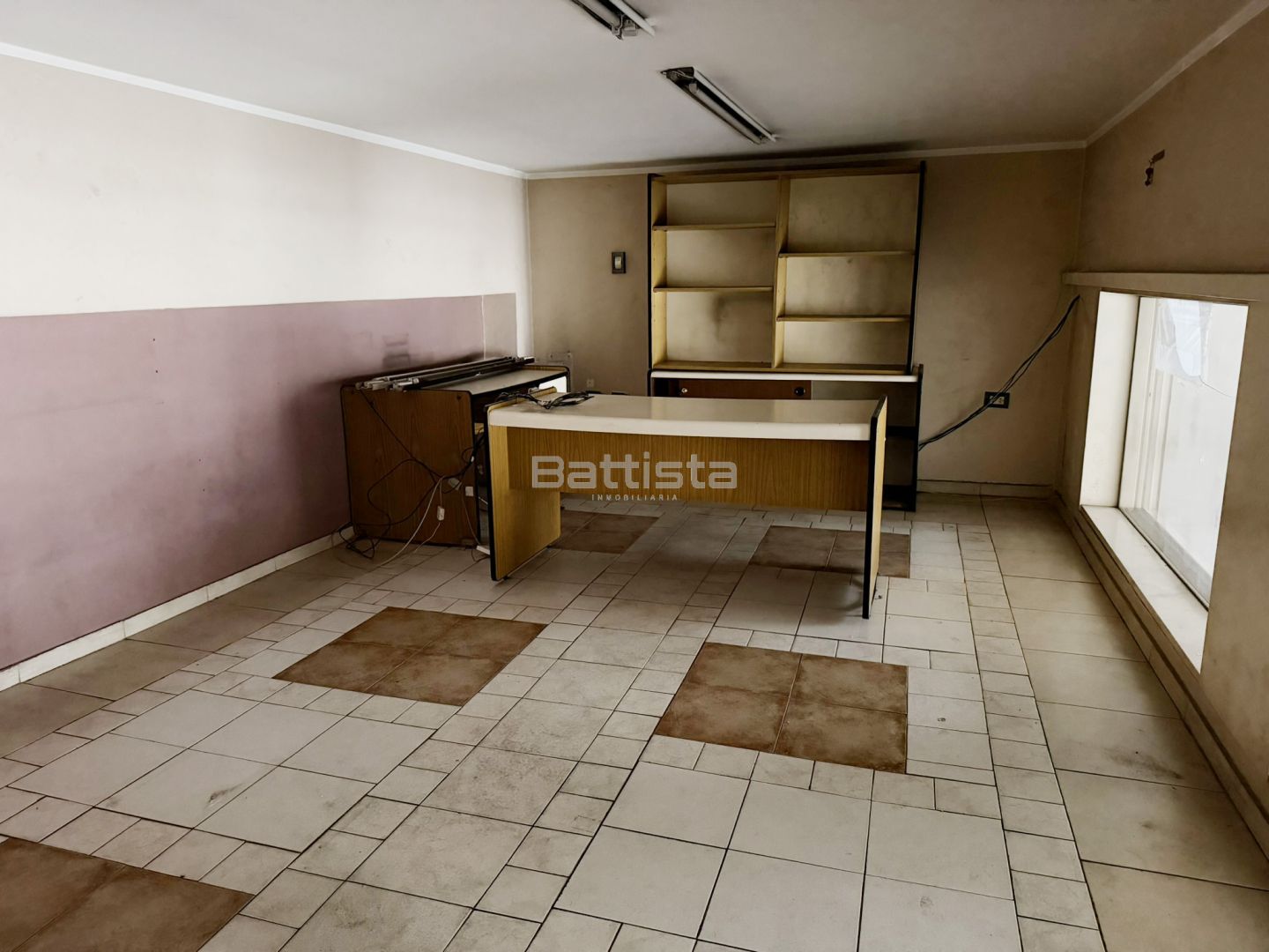 Imagen 11
