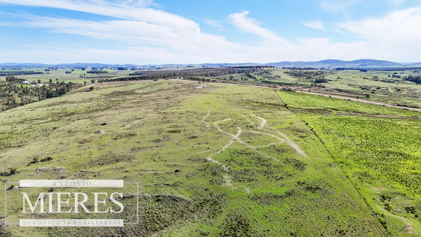 Campo EN VENTA