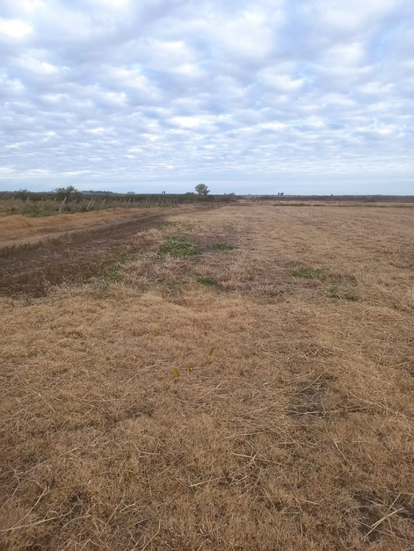 Campo EN VENTA