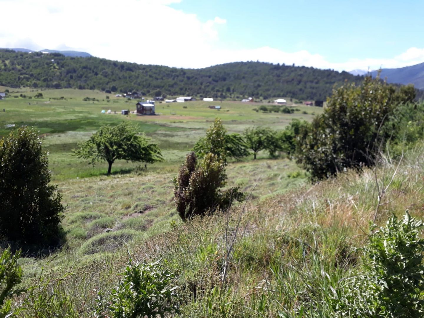 Imagen 4