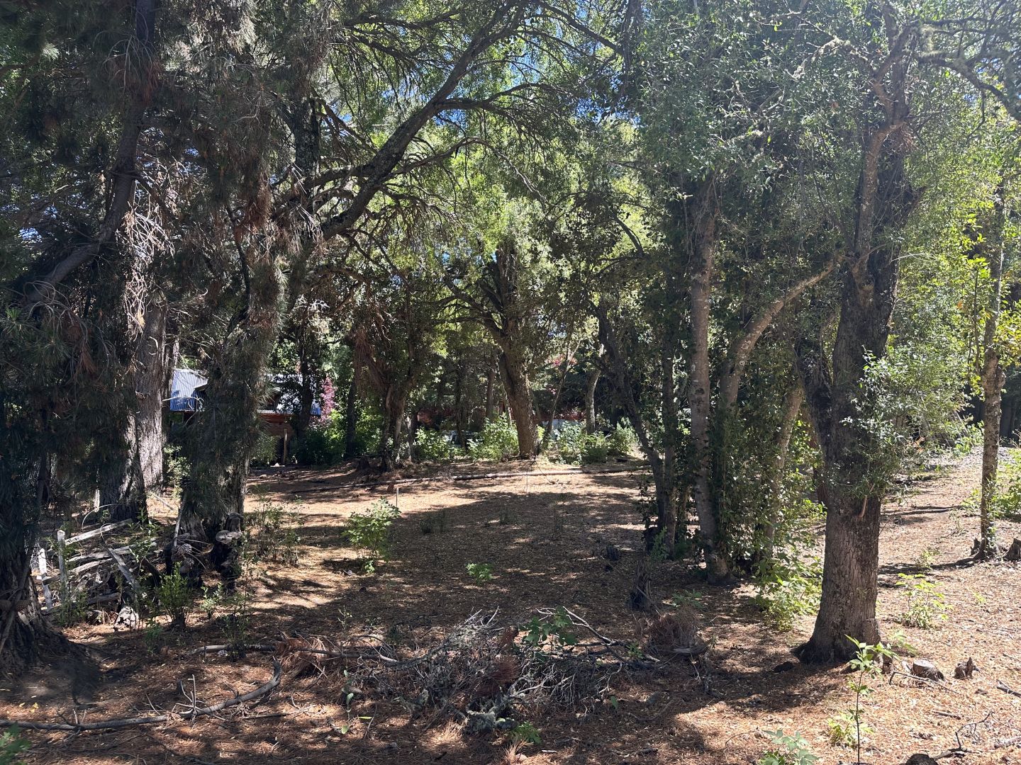 Lote EN VENTA