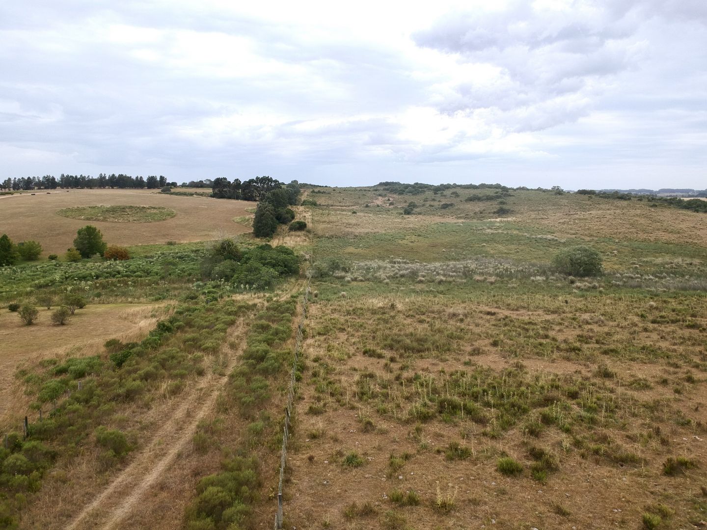 Campo EN VENTA