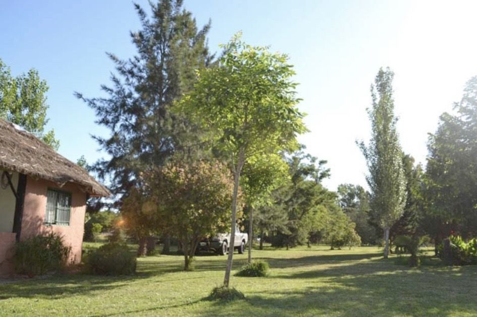 Campo EN VENTA