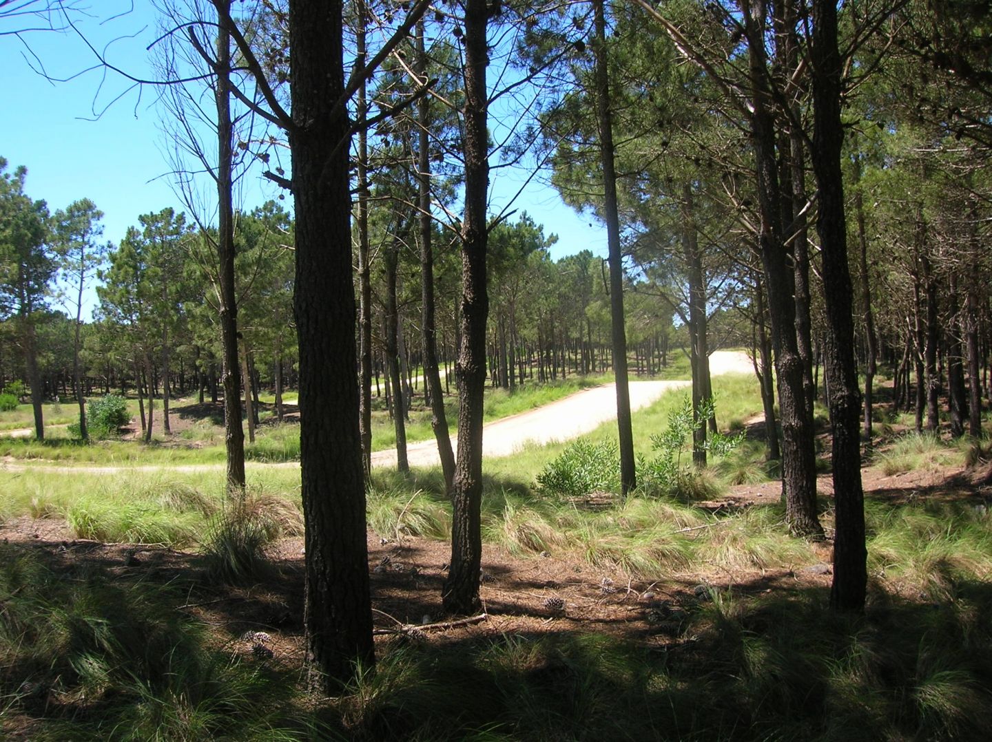 Lote EN VENTA