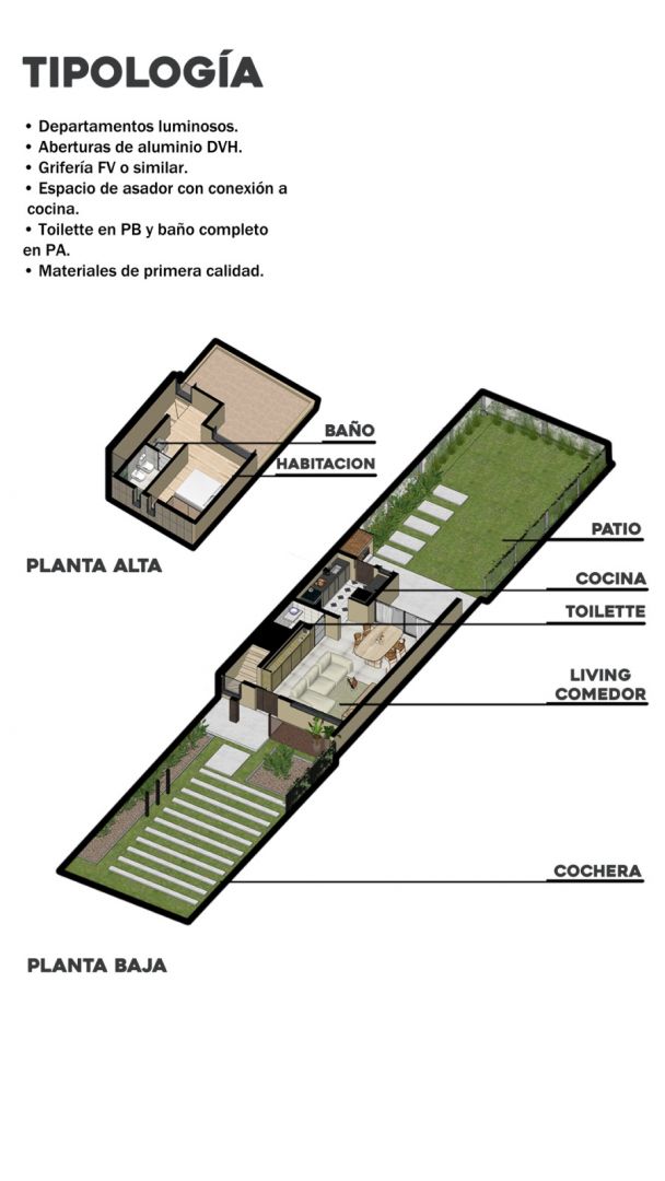 Imagen 5