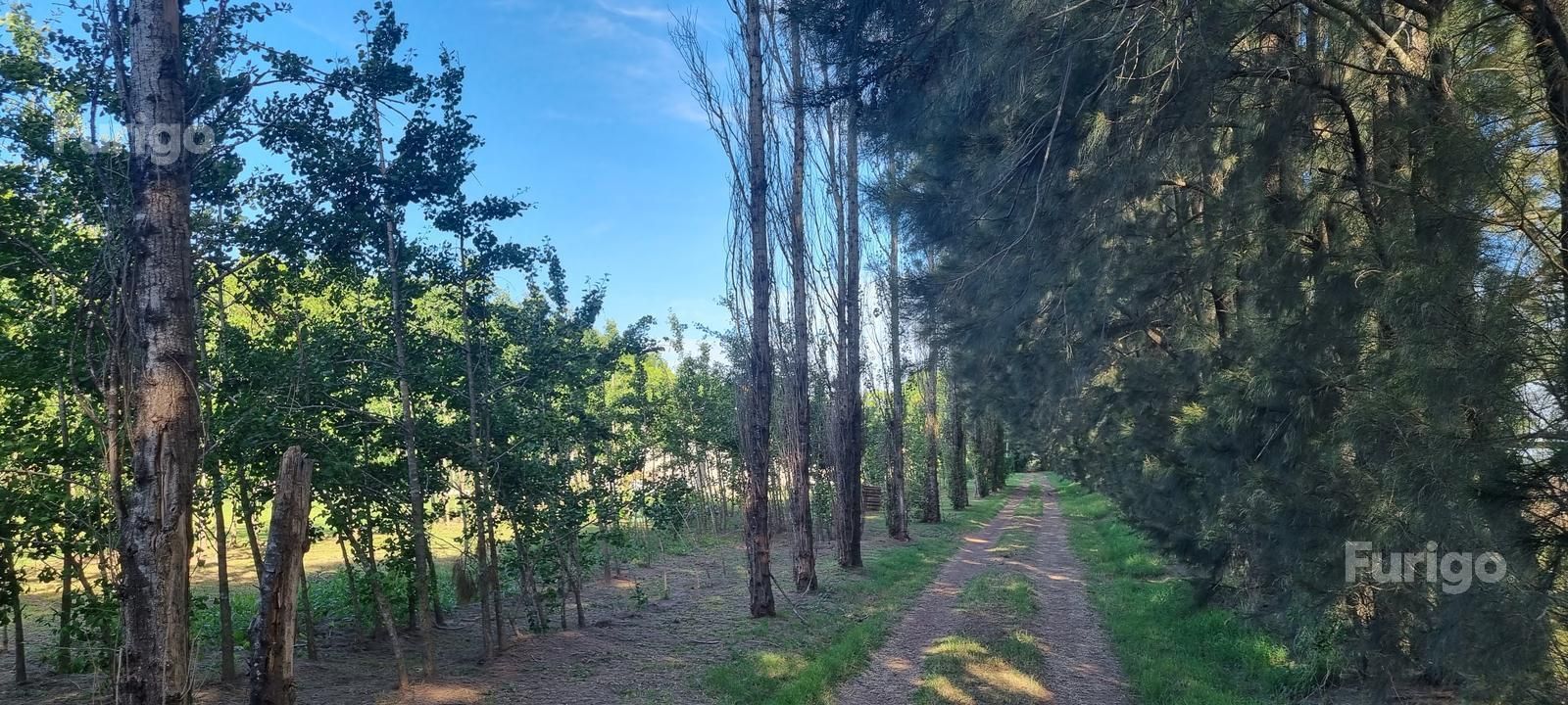 Lote en Venta en Roldán, Santa Fe