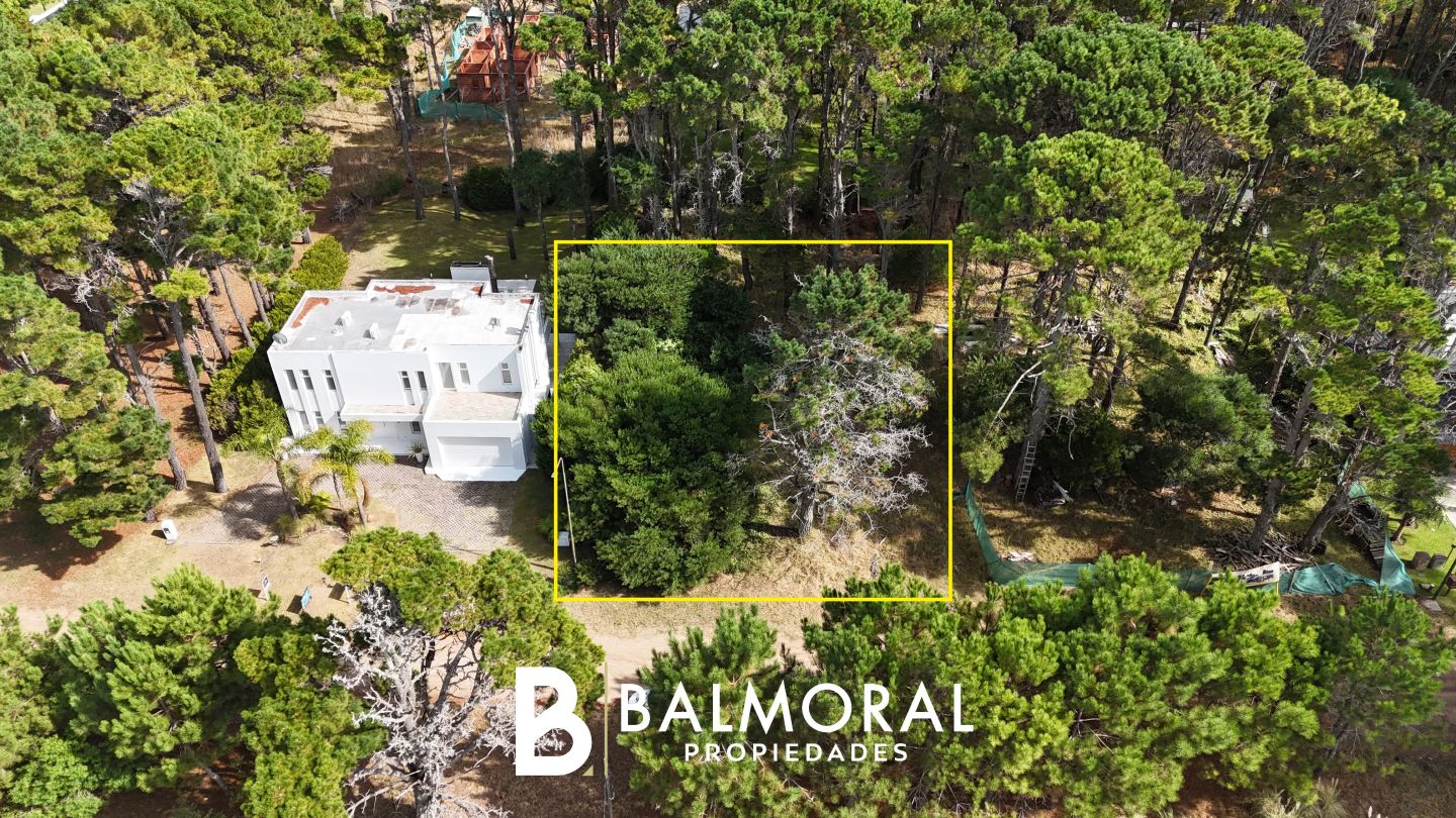 Lote EN VENTA