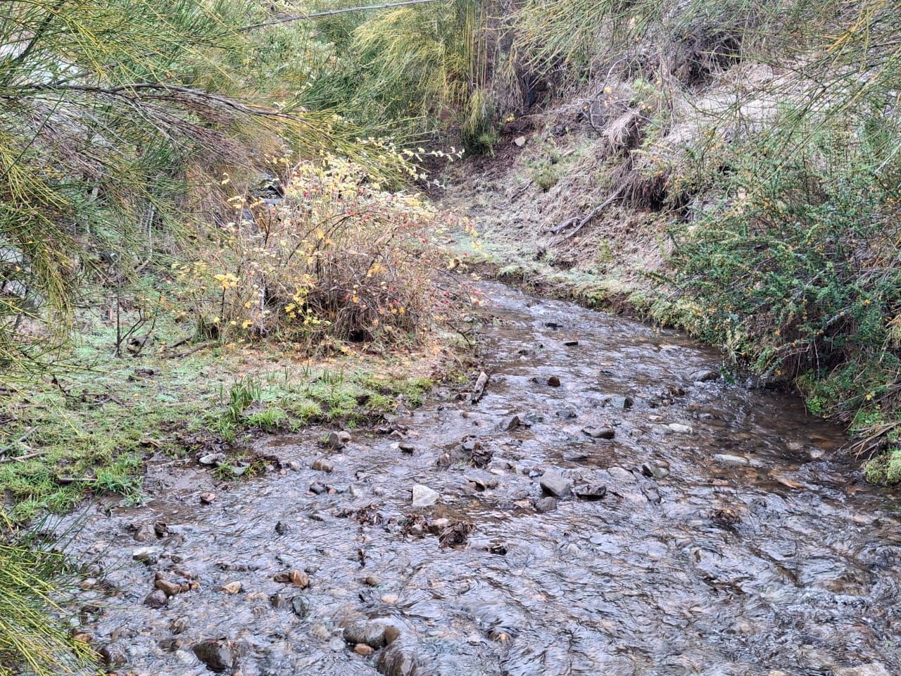 Campo EN VENTA