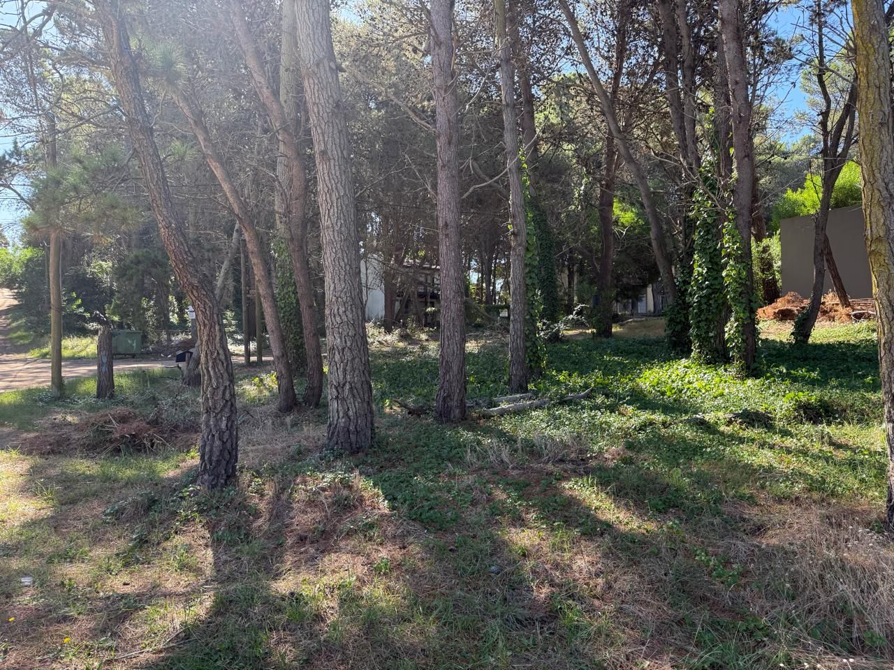 Lote EN VENTA