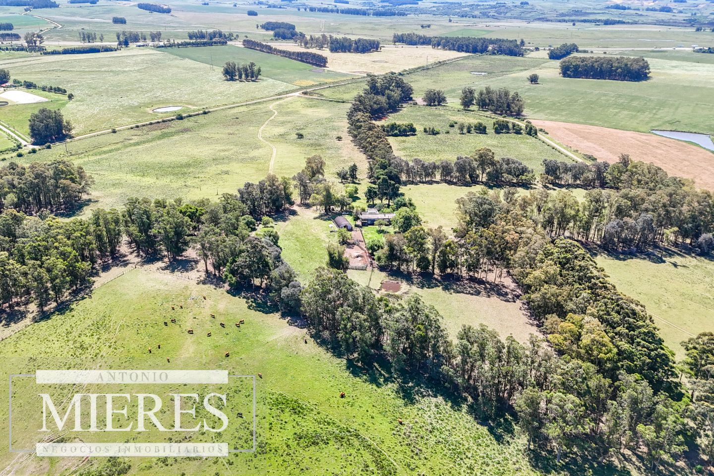 Campo EN VENTA