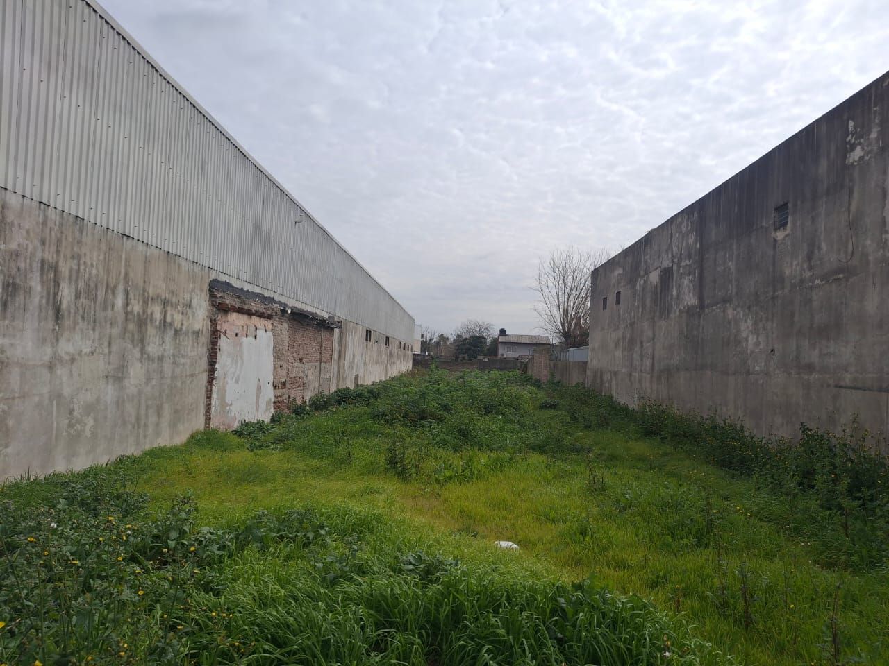 Imagen 2